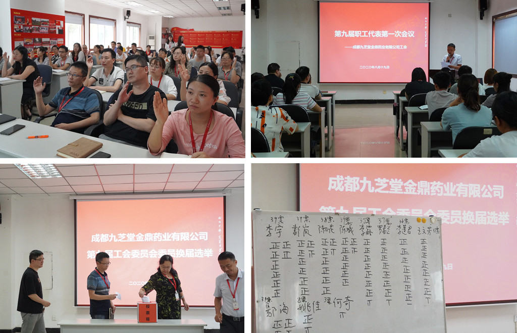 成都冰球突破880爆分视频金鼎药业有限公司工会召开第九届职工代表第一次会议